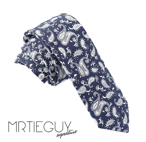 BLUE PAISLEY - MR TIE GUY - For The Daring & Dapper™
